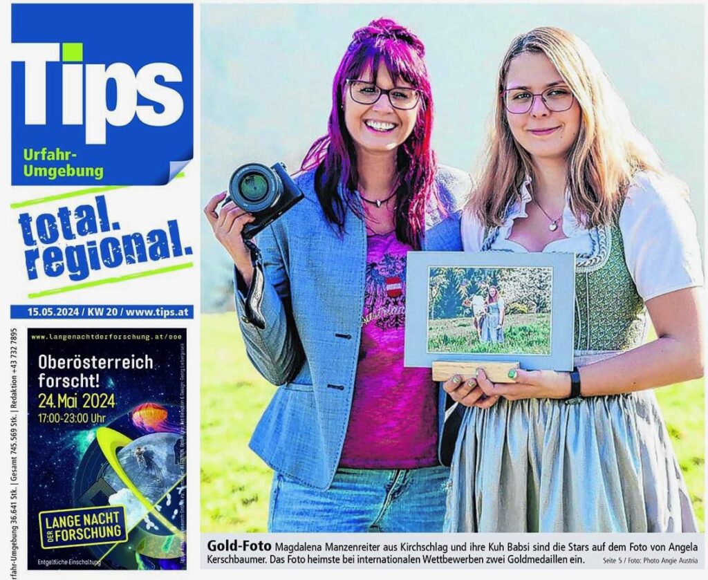 Tips-Beitrag-Presse-Fotowettbewerb-Goldmedaille-Hartlauer Fotogalerie, Linz, Pöstlingberg, Kuh Babsi, Photo Angie Austria, Auszeichnung, Gewinnerin, Kirchschlag, Österreich, Alpenrepublik